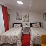 Deniz Manzarasi, Marti Sesleri Esliginde *