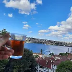 Deniz Manzarasi, Marti Sesleri Esliginde *