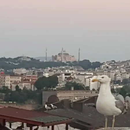 Deniz Manzarasi, Marti Sesleri Esliginde Appartement Istambul