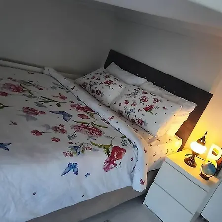 Deniz Manzarasi, Marti Sesleri Esliginde Appartement *
