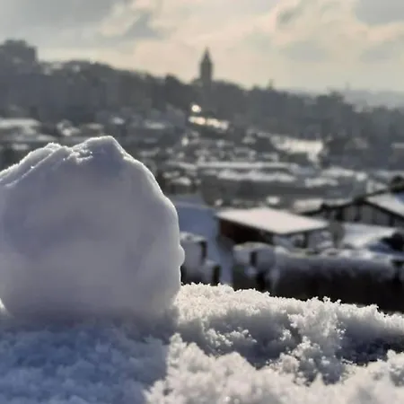 Apartment Deniz Manzarasi, Marti Sesleri Esliginde *