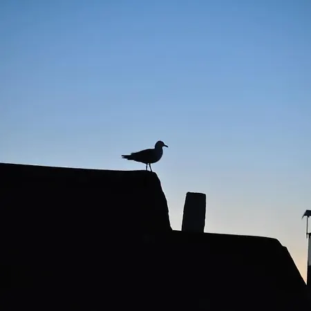 Apartment Deniz Manzarasi, Marti Sesleri Esliginde Istanbul