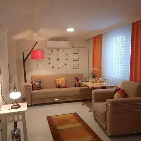 Deniz Manzarasi, Marti Sesleri Esliginde Apartment Istanbul