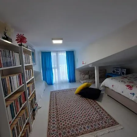 Apartment Deniz Manzarasi, Marti Sesleri Esliginde Istanbul