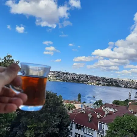 Deniz Manzarasi, Marti Sesleri Esliginde *