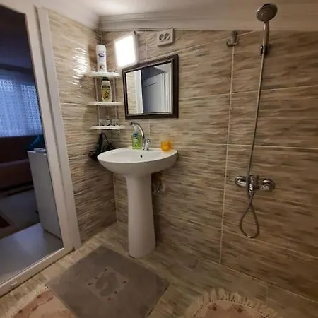 Deniz Manzarasi, Marti Sesleri Esliginde *