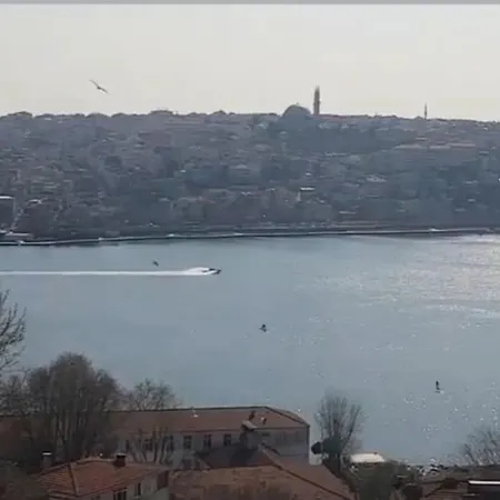 Deniz Manzarasi, Marti Sesleri Esliginde * Istanbul