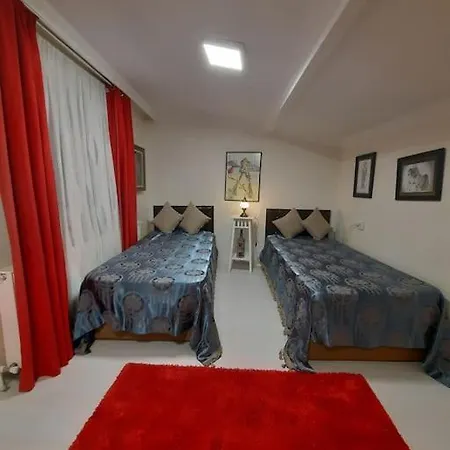 Deniz Manzarasi, Marti Sesleri Esliginde *