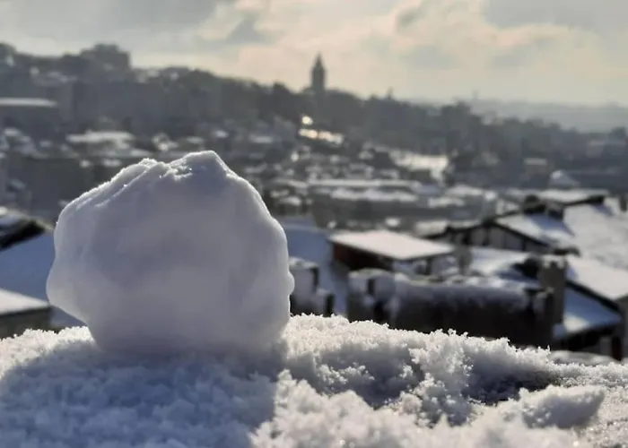شقة Deniz Manzarasi, Marti Sesleri Esliginde *