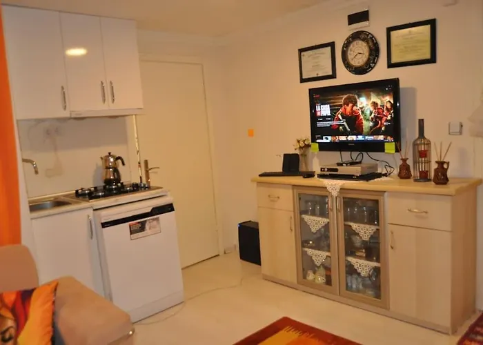 Deniz Manzarasi, Marti Sesleri Esliginde