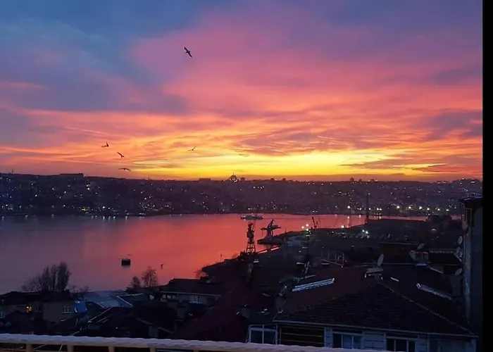 Deniz Manzarasi, Marti Sesleri Esliginde