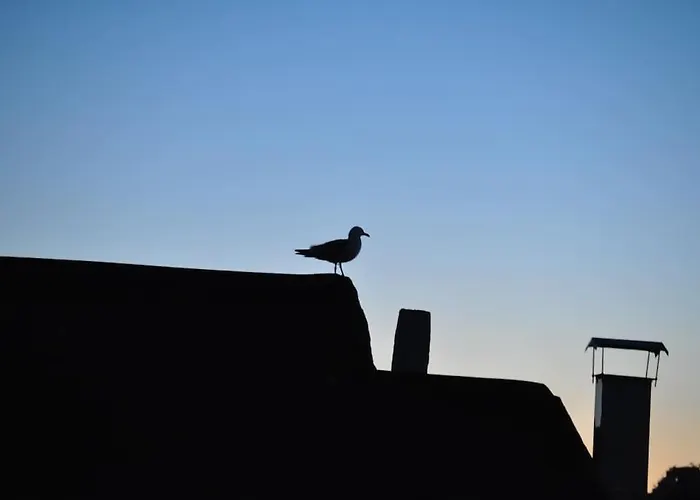 شقة Deniz Manzarasi, Marti Sesleri Esliginde اسطنبول