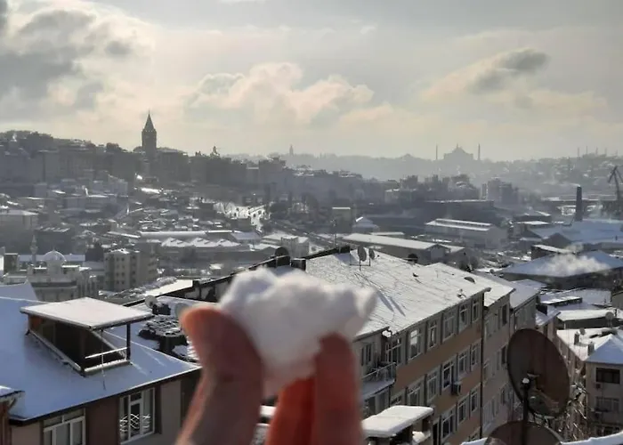 Deniz Manzarasi, Marti Sesleri Esliginde * اسطنبول