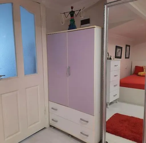 Deniz Manzarasi, Marti Sesleri Esliginde