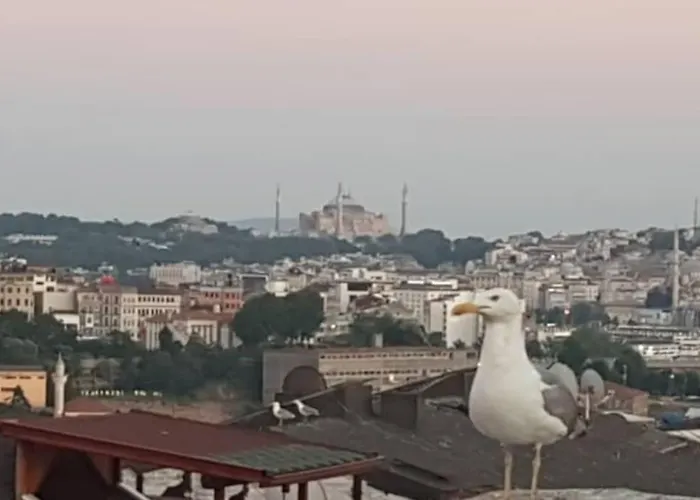 Deniz Manzarasi, Marti Sesleri Esliginde شقة اسطنبول