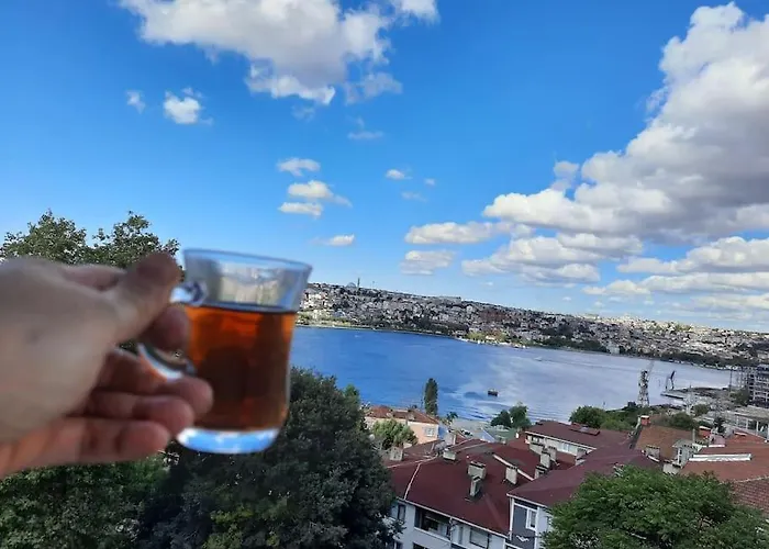 Deniz Manzarasi, Marti Sesleri Esliginde *