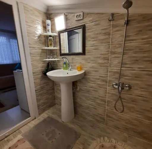 Deniz Manzarasi, Marti Sesleri Esliginde *