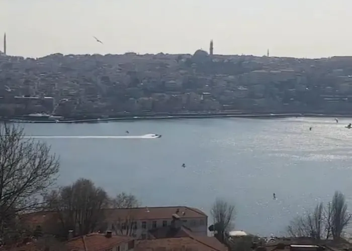 Deniz Manzarasi, Marti Sesleri Esliginde * اسطنبول