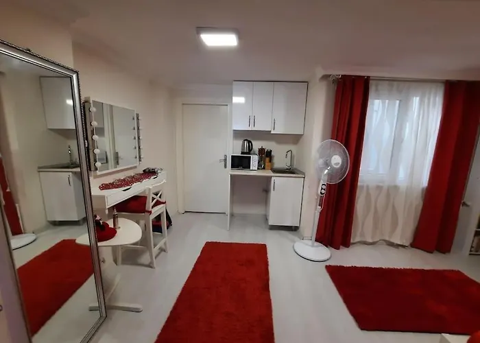 Deniz Manzarasi, Marti Sesleri Esliginde * اسطنبول