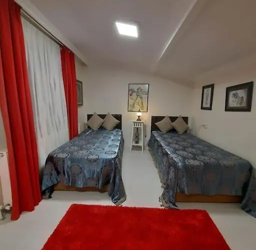 Deniz Manzarasi, Marti Sesleri Esliginde *