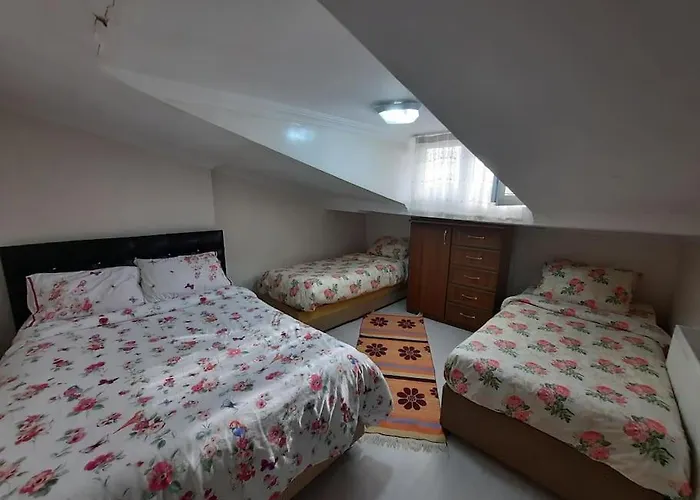 Deniz Manzarasi, Marti Sesleri Esliginde * اسطنبول