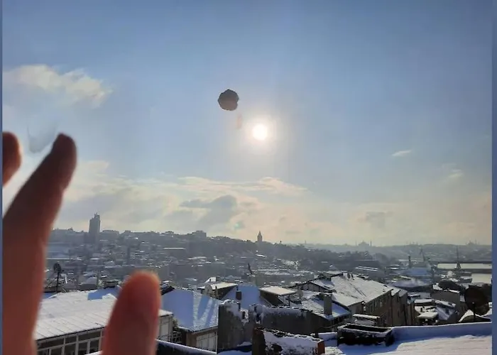 Deniz Manzarasi, Marti Sesleri Esliginde * اسطنبول