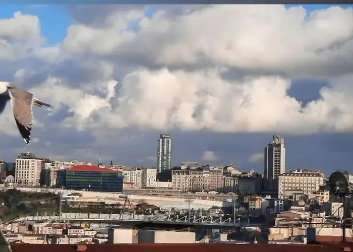 Deniz Manzarasi, Marti Sesleri Esliginde *