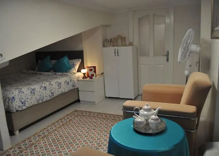 Deniz Manzarasi, Marti Sesleri Esliginde * اسطنبول