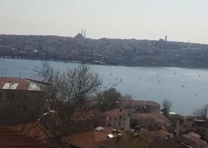 Deniz Manzarasi, Marti Sesleri Esliginde شقة *