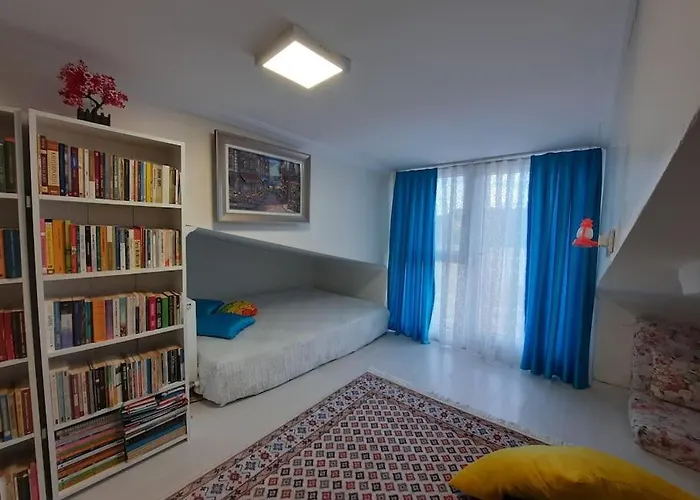 Deniz Manzarasi, Marti Sesleri Esliginde