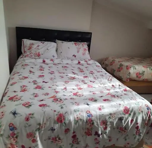 Deniz Manzarasi, Marti Sesleri Esliginde اسطنبول