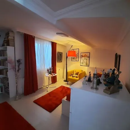 Apartman Deniz Manzarasi, Marti Sesleri Esliginde Isztambul