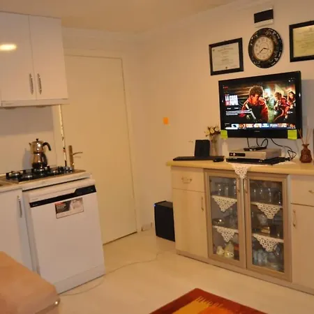 Deniz Manzarasi, Marti Sesleri Esliginde