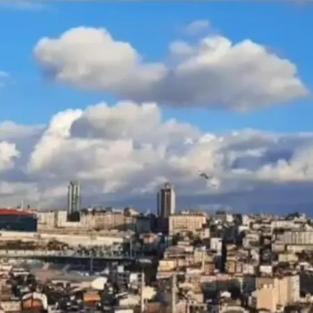 Deniz Manzarasi, Marti Sesleri Esliginde Daire İstanbul