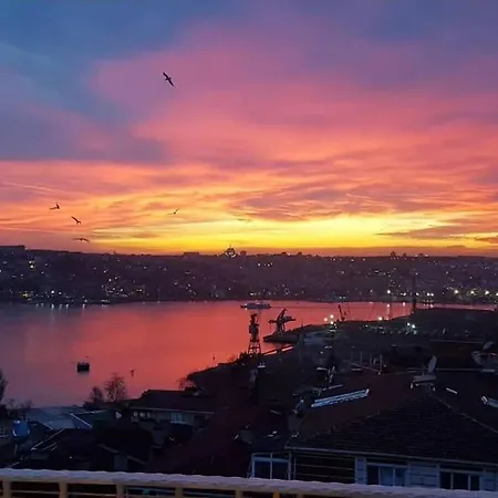 Deniz Manzarasi, Marti Sesleri Esliginde