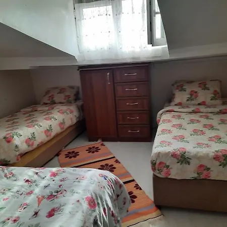 Apartman Deniz Manzarasi, Marti Sesleri Esliginde