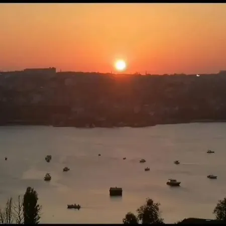 Daire Deniz Manzarasi, Marti Sesleri Esliginde *