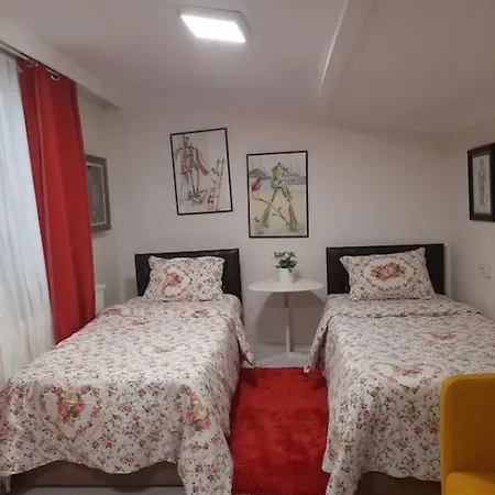 Deniz Manzarasi, Marti Sesleri Esliginde *