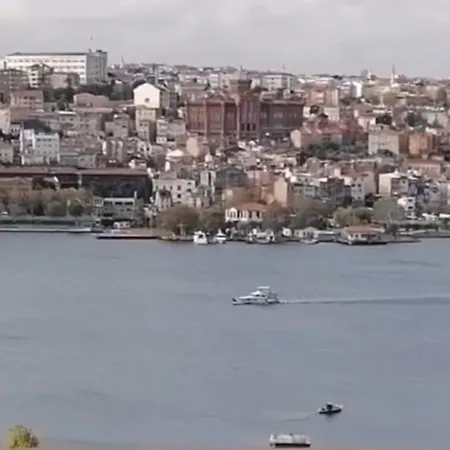 Daire Deniz Manzarasi, Marti Sesleri Esliginde