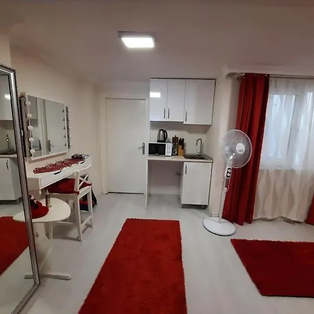 Deniz Manzarasi, Marti Sesleri Esliginde * Isztambul