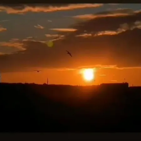 Deniz Manzarasi, Marti Sesleri Esliginde * İstanbul