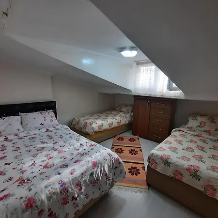 Deniz Manzarasi, Marti Sesleri Esliginde * İstanbul