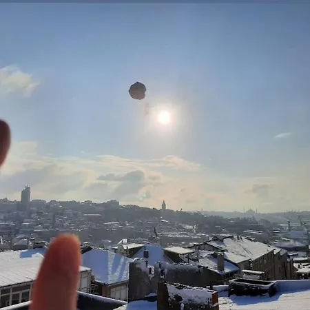 Deniz Manzarasi, Marti Sesleri Esliginde * İstanbul