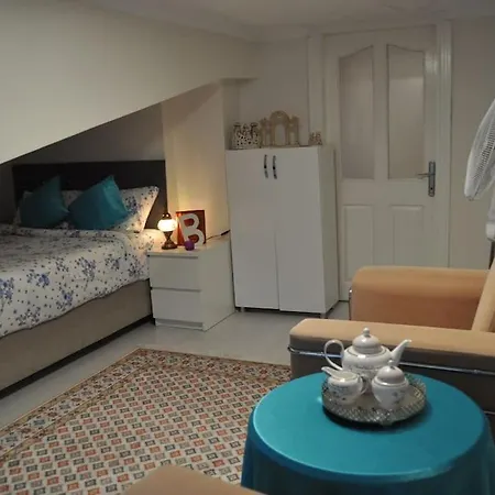 Deniz Manzarasi, Marti Sesleri Esliginde * İstanbul