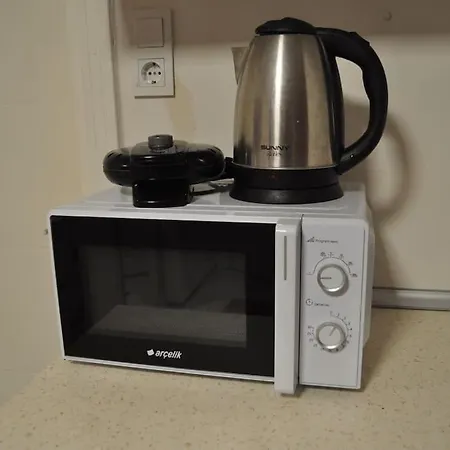 Deniz Manzarasi, Marti Sesleri Esliginde Daire *