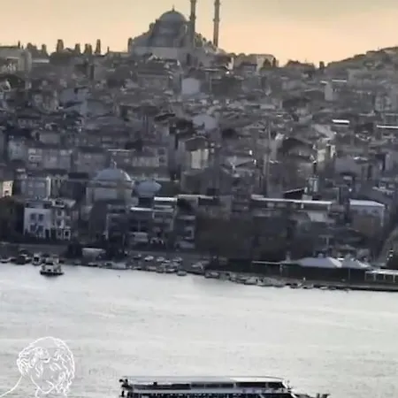 Deniz Manzarasi, Marti Sesleri Esliginde Daire