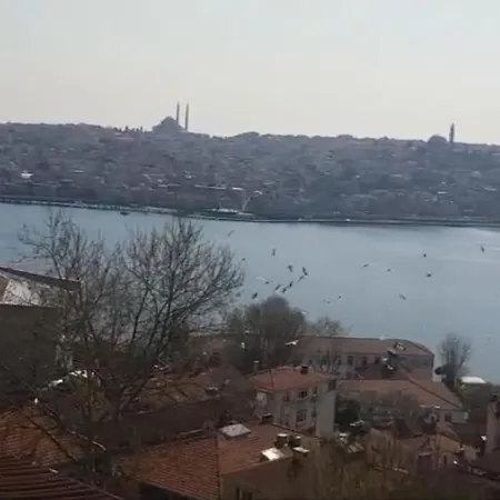 Deniz Manzarasi, Marti Sesleri Esliginde Apartman *
