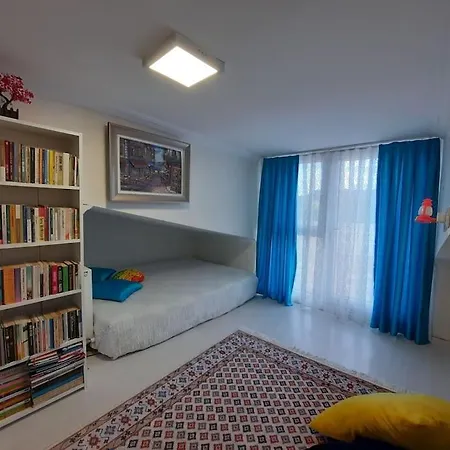 Deniz Manzarasi, Marti Sesleri Esliginde