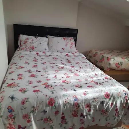 Deniz Manzarasi, Marti Sesleri Esliginde İstanbul